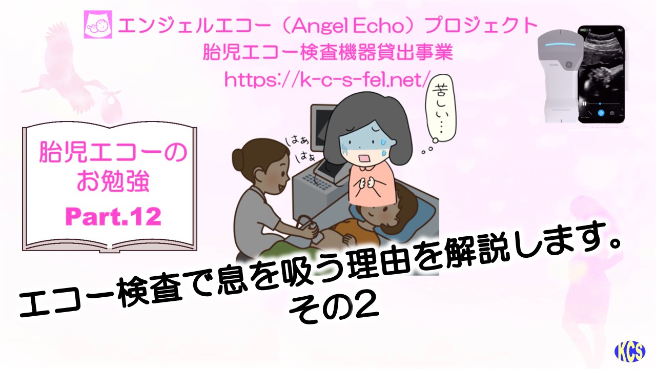 胎児エコーのお勉強 – 妊婦さん への 胎児エコー ( 超音波検査