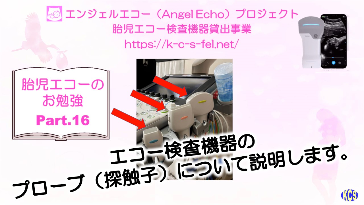 胎児エコーのお勉強 – 妊婦さん への 胎児エコー ( 超音波検査
