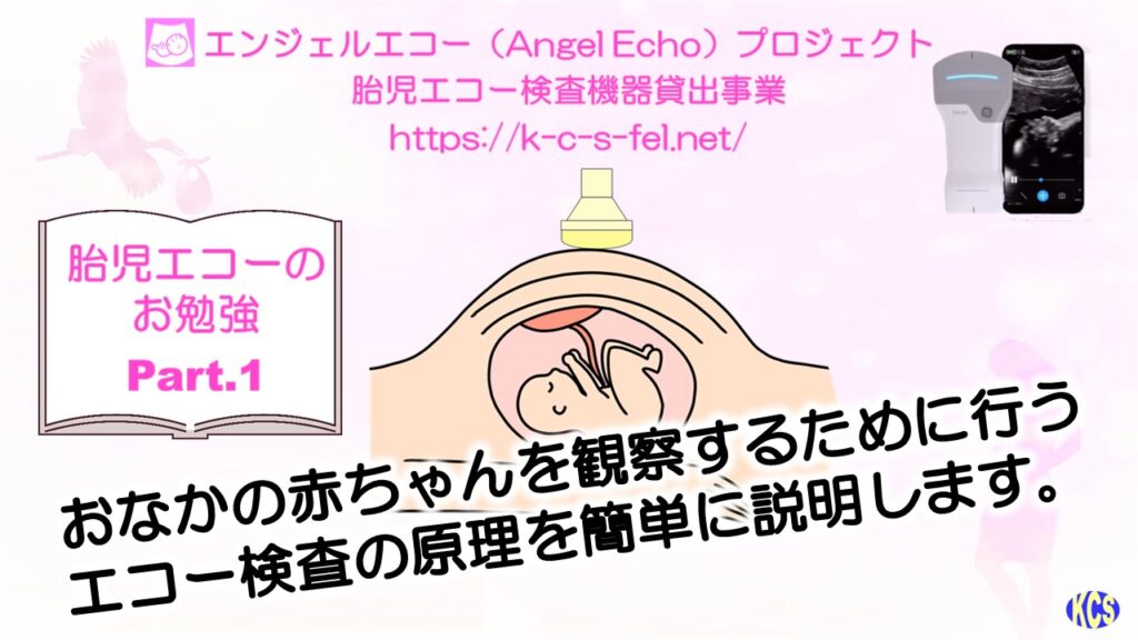 エコーのお勉強01