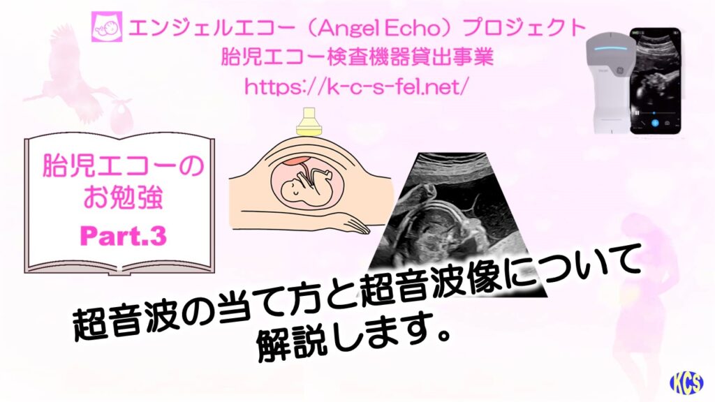 エコーのお勉強03