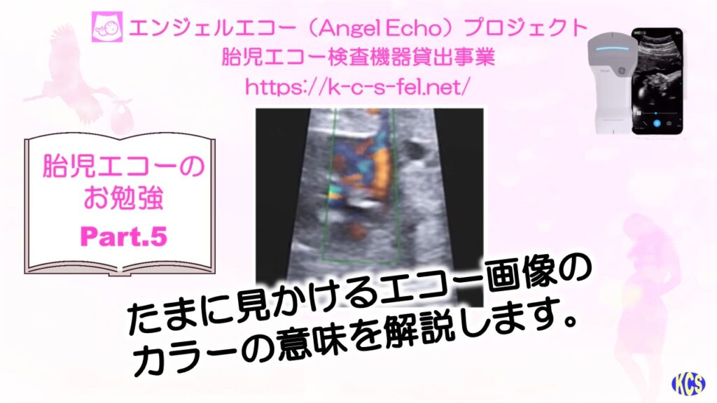 エコーのお勉強05