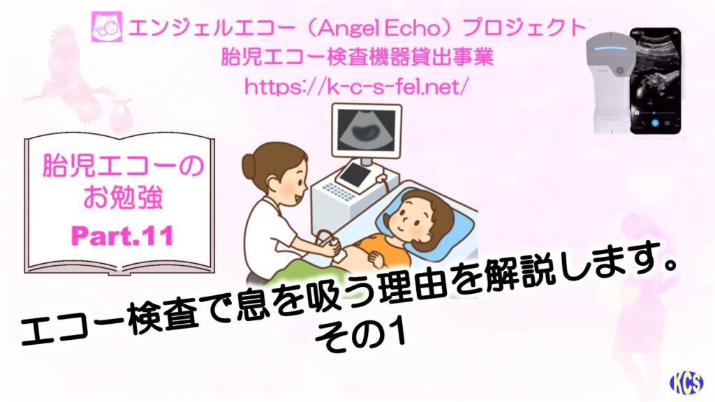 エコーのお勉強11