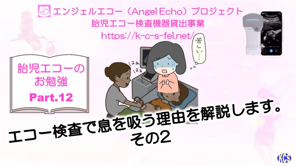 エコーのお勉強12